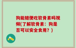 狗能随便吃软骨素吗视频(了解软骨素：狗是否可以安全食用？)