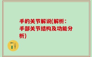 手的关节解说(解析：手部关节结构及功能分析)