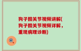 狗子髋关节视频讲解(狗子髋关节视频详解，重现病理诊断)