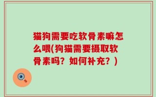 猫狗需要吃软骨素嘛怎么喂(狗猫需要摄取软骨素吗？如何补充？)