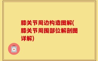 膝关节周边构造图解(膝关节周围部位解剖图详解)