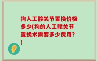 狗人工髋关节置换价格多少(狗的人工髋关节置换术需要多少费用？)