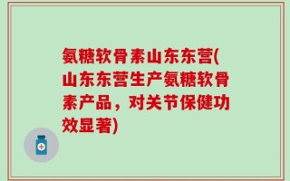 氨糖软骨素山东东营(山东东营生产氨糖软骨素产品，对关节保健功效显著)
