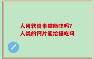 人用软骨素猫能吃吗？人类的钙片能给猫吃吗