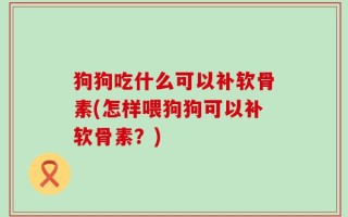 狗狗吃什么可以补软骨素(怎样喂狗狗可以补软骨素？)