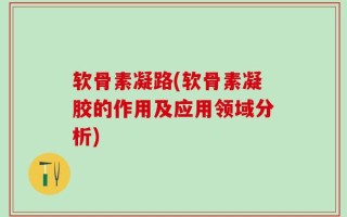软骨素凝路(软骨素凝胶的作用及应用领域分析)