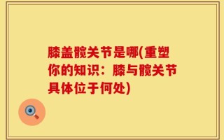 膝盖髋关节是哪(重塑你的知识：膝与髋关节具体位于何处)