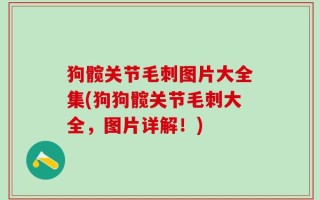 狗髋关节毛刺图片大全集(狗狗髋关节毛刺大全，图片详解！)