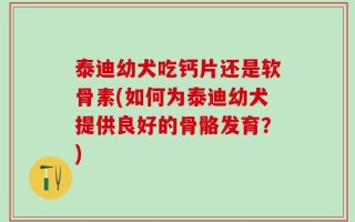 泰迪幼犬吃钙片还是软骨素(如何为泰迪幼犬提供良好的骨骼发育？)