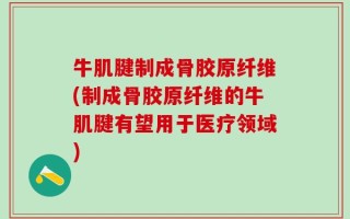 牛肌腱制成骨胶原纤维(制成骨胶原纤维的牛肌腱有望用于医疗领域)