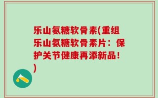 乐山氨糖软骨素(重组乐山氨糖软骨素片：保护关节健康再添新品！)
