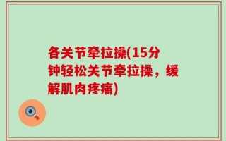 各关节牵拉操(15分钟轻松关节牵拉操，缓解肌肉疼痛)