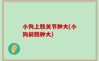 小狗上肢关节肿大(小狗前肢肿大)