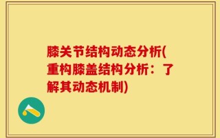 膝关节结构动态分析(重构膝盖结构分析：了解其动态机制)