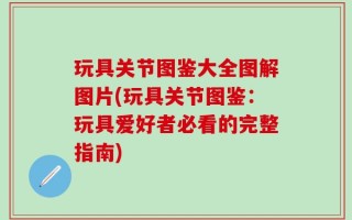 玩具关节图鉴大全图解图片(玩具关节图鉴：玩具爱好者必看的完整指南)