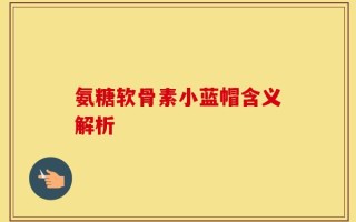 氨糖软骨素小蓝帽含义解析