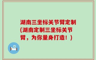 湖南三坐标关节臂定制(湖南定制三坐标关节臂，为你量身打造！)