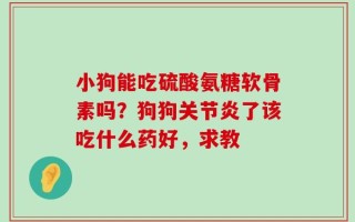 小狗能吃硫酸氨糖软骨素吗？狗狗关节炎了该吃什么药好，求教