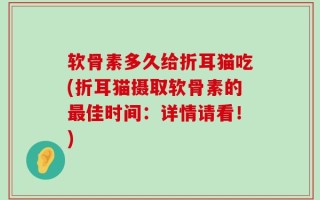 软骨素多久给折耳猫吃(折耳猫摄取软骨素的最佳时间：详情请看！)
