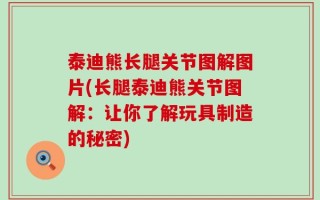 泰迪熊长腿关节图解图片(长腿泰迪熊关节图解：让你了解玩具制造的秘密)