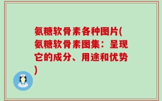 氨糖软骨素各种图片(氨糖软骨素图集：呈现它的成分、用途和优势)