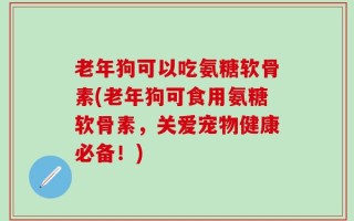 老年狗可以吃氨糖软骨素(老年狗可食用氨糖软骨素，关爱宠物健康必备！)