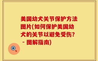 美国幼犬关节保护方法图片(如何保护美国幼犬的关节以避免受伤？ - 图解指南)