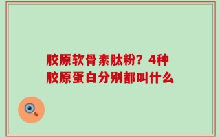胶原软骨素肽粉？4种胶原蛋白分别都叫什么