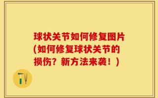 球状关节如何修复图片(如何修复球状关节的损伤？新方法来袭！)