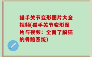 猫手关节变形图片大全视频(猫手关节变形图片与视频：全面了解猫的骨骼系统)