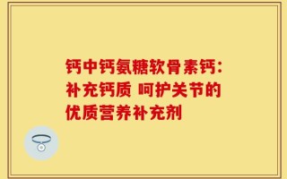 钙中钙氨糖软骨素钙：补充钙质 呵护关节的优质营养补充剂
