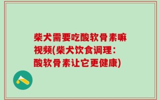 柴犬需要吃酸软骨素嘛视频(柴犬饮食调理：酸软骨素让它更健康)