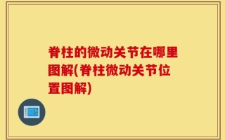 脊柱的微动关节在哪里图解(脊柱微动关节位置图解)