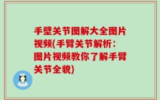 手壁关节图解大全图片视频(手臂关节解析：图片视频教你了解手臂关节全貌)