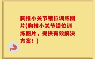 胸椎小关节错位训练图片(胸椎小关节错位训练图片，提供有效解决方案！)