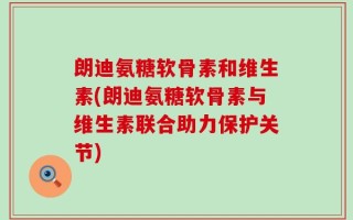 朗迪氨糖软骨素和维生素(朗迪氨糖软骨素与维生素联合助力保护关节)