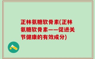 正林氨糖软骨素(正林氨糖软骨素——促进关节健康的有效成分)