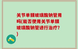 关节单髁玻璃酸钠管用吗(能否使用关节单髁玻璃酸钠管进行治疗？)
