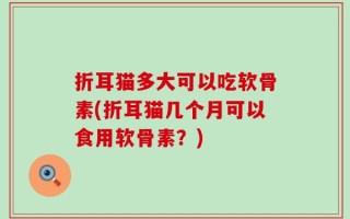 折耳猫多大可以吃软骨素(折耳猫几个月可以食用软骨素？)