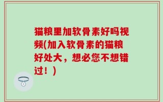 猫粮里加软骨素好吗视频(加入软骨素的猫粮好处大，想必您不想错过！)