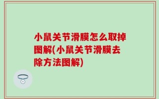 小鼠关节滑膜怎么取掉图解(小鼠关节滑膜去除方法图解)