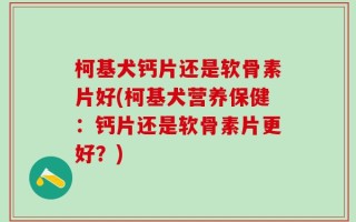 柯基犬钙片还是软骨素片好(柯基犬营养保健：钙片还是软骨素片更好？)