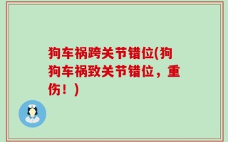 狗车祸跨关节错位(狗狗车祸致关节错位，重伤！)