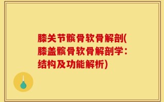 膝关节髌骨软骨解剖(膝盖髌骨软骨解剖学：结构及功能解析)