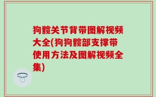 狗髋关节背带图解视频大全(狗狗髋部支撑带使用方法及图解视频全集)