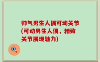 帅气男生人偶可动关节(可动男生人偶，精致关节展现魅力)