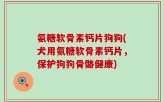 氨糖软骨素钙片狗狗(犬用氨糖软骨素钙片，保护狗狗骨骼健康)