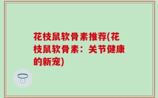 花枝鼠软骨素推荐(花枝鼠软骨素：关节健康的新宠)