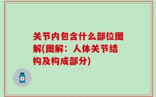 关节内包含什么部位图解(图解：人体关节结构及构成部分)