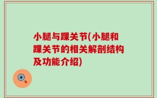 小腿与踝关节(小腿和踝关节的相关解剖结构及功能介绍)